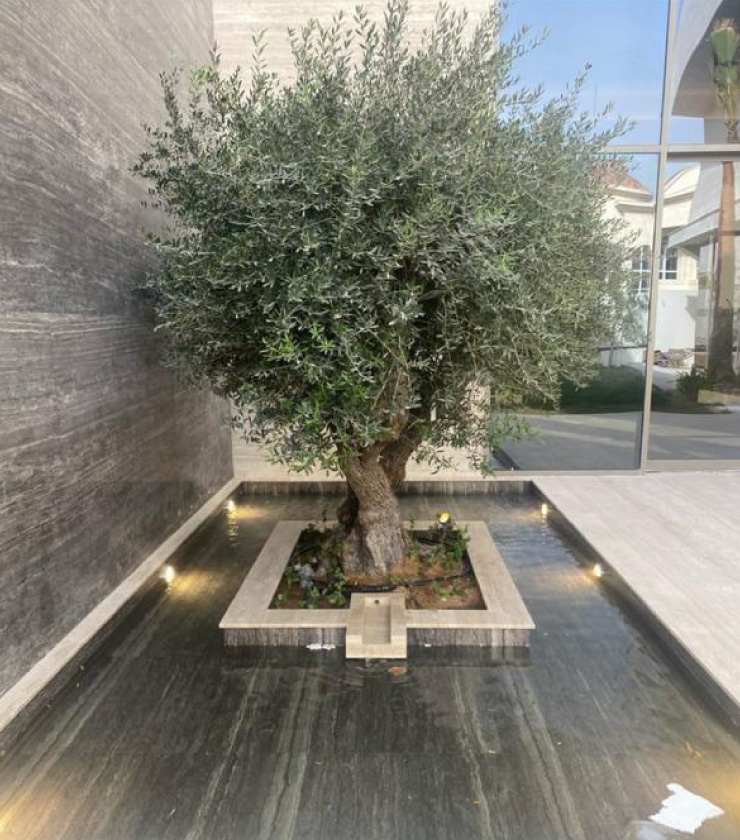 Water Feature